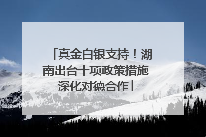 真金白银支持！湖南出台十项政策措施深化对德合作