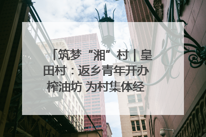 筑梦“湘”村｜皇田村：返乡青年开办榨油坊 为村集体经济“加油”