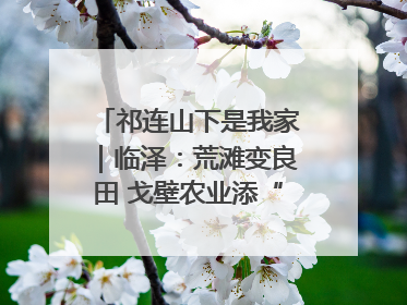祁连山下是我家｜临泽：荒滩变良田 戈壁农业添“绿”生“金”
