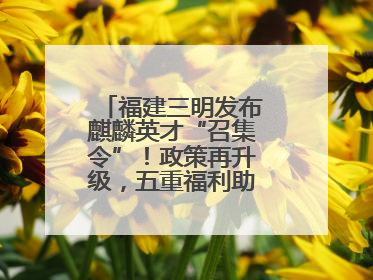 福建三明发布麒麟英才“召集令”！政策再升级，五重福利助您在明无忧