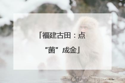 福建古田：点“菌”成金