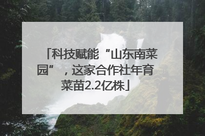 科技赋能“山东南菜园”，这家合作社年育菜苗2.2亿株