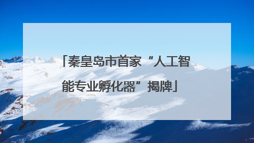 秦皇岛市首家“人工智能专业孵化器”揭牌
