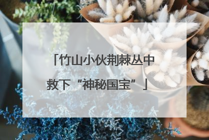 竹山小伙荆棘丛中救下“神秘国宝”