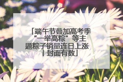 端午节叠加高考季 “一举高粽”等主题粽子销量连日上涨丨封面有数
