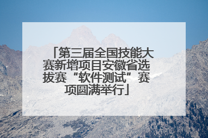 第三届全国技能大赛新增项目安徽省选拔赛“软件测试”赛项圆满举行