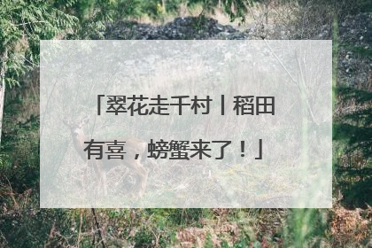 翠花走千村丨稻田有喜，螃蟹来了！
