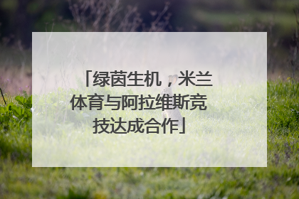 绿茵生机，米兰体育与阿拉维斯竞技达成合作