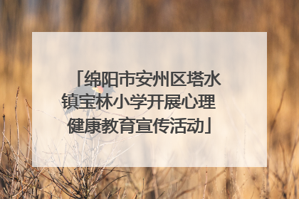 绵阳市安州区塔水镇宝林小学开展心理健康教育宣传活动