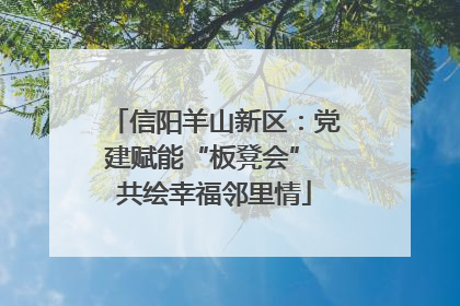 信阳羊山新区：党建赋能“板凳会” 共绘幸福邻里情