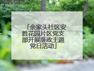 余家头社区安胜花园片区党支部开展廉政主题党日活动