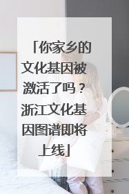 你家乡的文化基因被激活了吗？浙江文化基因图谱即将上线