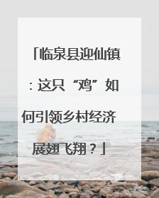 临泉县迎仙镇：这只“鸡”如何引领乡村经济展翅飞翔？