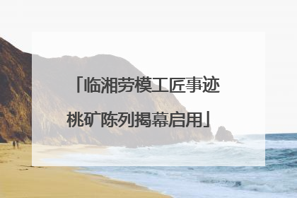 临湘劳模工匠事迹桃矿陈列揭幕启用