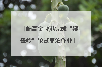 临高金牌港完成“黎母岭”轮试靠泊作业