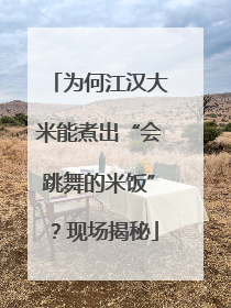 为何江汉大米能煮出“会跳舞的米饭”？现场揭秘