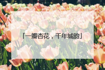 一瓣杏花，千年城韵