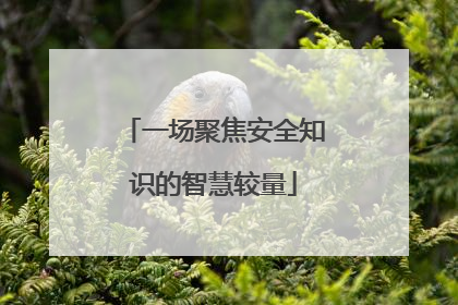 一场聚焦安全知识的智慧较量