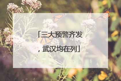 三大预警齐发，武汉均在列