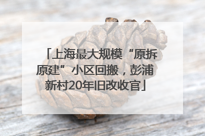 上海最大规模“原拆原建”小区回搬，彭浦新村20年旧改收官