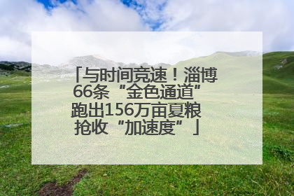 与时间竞速！淄博66条“金色通道”跑出156万亩夏粮抢收“加速度”