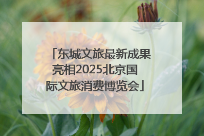 东城文旅最新成果亮相2025北京国际文旅消费博览会