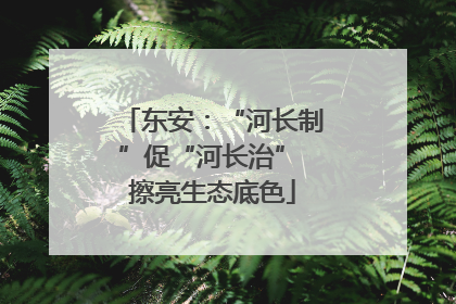 东安：“河长制”促“河长治” 擦亮生态底色