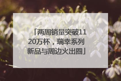 两周销量突破1120万杯，瑞幸系列新品与周边火出圈