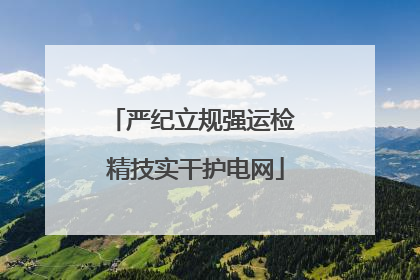 严纪立规强运检 精技实干护电网