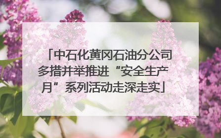 中石化黄冈石油分公司多措并举推进“安全生产月”系列活动走深走实
