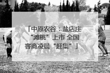 中原农谷：盐店庄“滩桃”上市 全国客商凌晨“赶集”