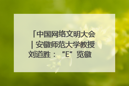 中国网络文明大会｜安徽师范大学教授刘道胜：“E”览徽风，构筑中华民族共有精神家园