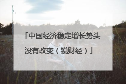 中国经济稳定增长势头没有改变（锐财经）