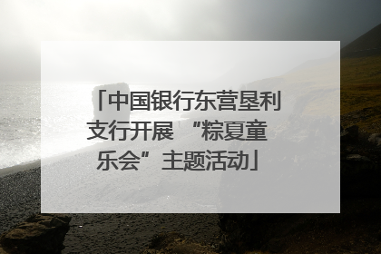 中国银行东营垦利支行开展 “粽夏童乐会”主题活动