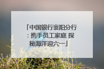 中国银行襄阳分行：携手员工家庭 探秘海洋迎六一