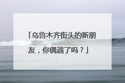 乌鲁木齐街头的新朋友，你偶遇了吗？