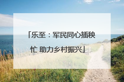 乐至：军民同心插秧忙 助力乡村振兴