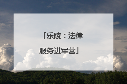 乐陵：法律服务进军营