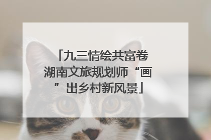 九三情绘共富卷 湖南文旅规划师“画”出乡村新风景