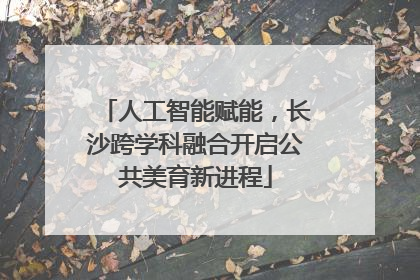 人工智能赋能，长沙跨学科融合开启公共美育新进程