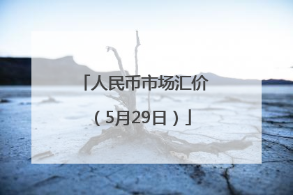 人民币市场汇价（5月29日）