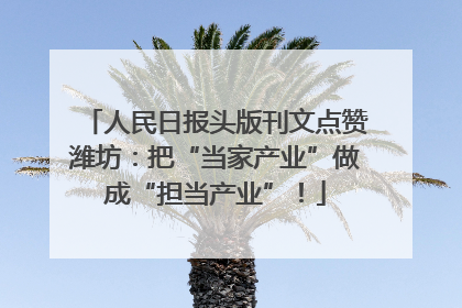 人民日报头版刊文点赞潍坊：把“当家产业”做成“担当产业”！