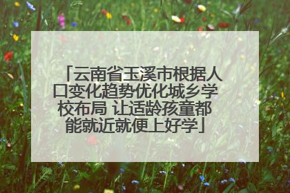 云南省玉溪市根据人口变化趋势优化城乡学校布局 让适龄孩童都能就近就便上好学