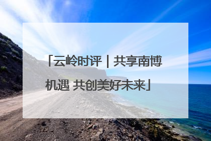 云岭时评｜共享南博机遇 共创美好未来