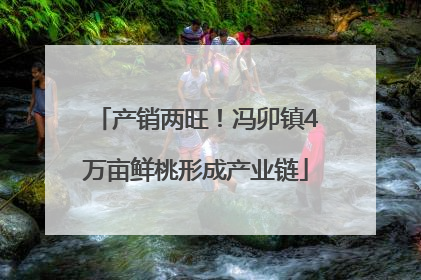产销两旺！冯卯镇4万亩鲜桃形成产业链