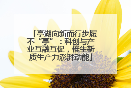 亭湖向新而行步履不“亭”：科创与产业互融互促，催生新质生产力澎湃动能