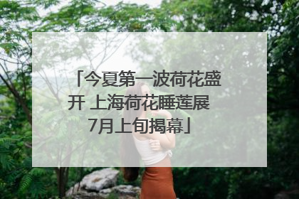 今夏第一波荷花盛开 上海荷花睡莲展7月上旬揭幕
