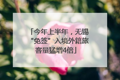 今年上半年，无锡“免签”入境外籍旅客量猛增4倍