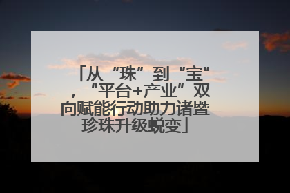 从“珠”到“宝”，“平台+产业”双向赋能行动助力诸暨珍珠升级蜕变