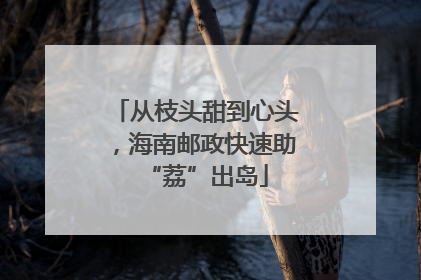 从枝头甜到心头，海南邮政快速助“荔”出岛